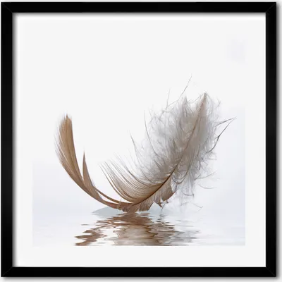Produktbild von Bild - 50 cm x 50 cm - MDF - Rahmen, Wandkunst - Feder auf dem Wasser