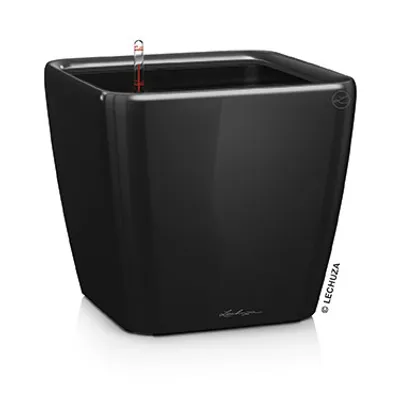 Obrázek produktu pro Sázecí květináč LECHUZA QUADRO Premium LS 21 černý vysoký lesk | květináč se zavlažovacím systémem | vysoce lesklý povrch | 22,5 x 22,5 x 20,5 cm | 16129