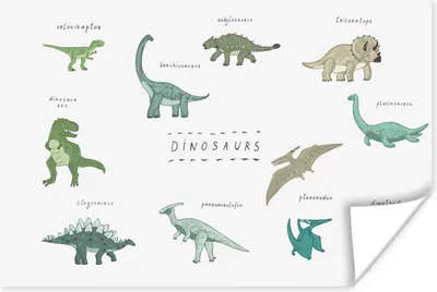 Produktbild von MuchoWow® Poster Kinderzimmer - Farben - Dinosaurier - Junge - Mädchen - Kind 60x40 cm - Schlafzimmerdekoration
