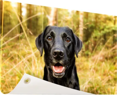 Produktbild von Gartenposter - 120x80 cm - Glücklicher schwarzer Hund  - Modernes Wandbilder - HausTierposter