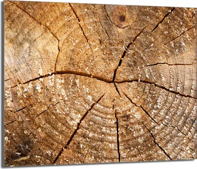 Produktbild von Glasherdschutzplatte 60x52 Holz