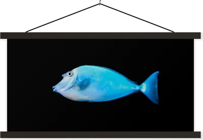 Produktbild von MuchoWow® Textilposter Fische - Meerestiere - Schwarz 90x45 cm mit schwarzem Rahmen - Klemmleisten