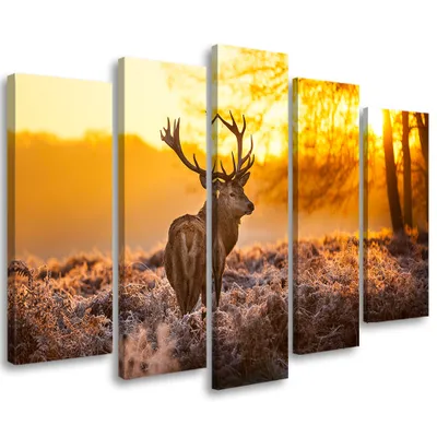 Produktbild von 5-teiliges leinwandbild hirschwald sonnenuntergang 200x100 cm Feeby orange wandbild bereit zum aufhängen