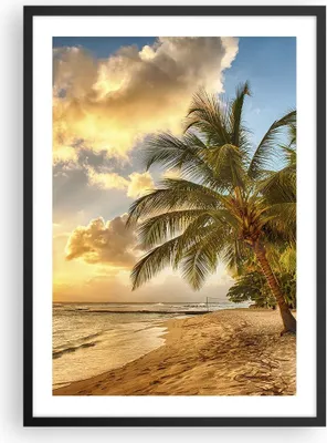 Produktbild von Gerahmtes Poster - Schwarzer Rahmen - Strand Meer Palme - 50x70 cm - Wand Bild - Wanddeko - Wandbilder - Kunstposter - Wandposter - Bilderrahmen - Bilder - Kunstdruck - Wandbild - P2BPA50x70-3606