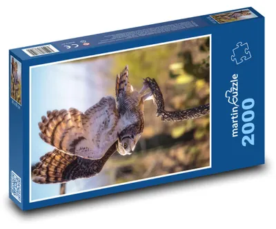 Obrázok produktu pre martinpuzzle – Puzzle 2000 – Sova