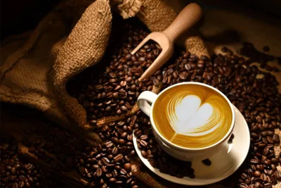Produktbild von Magnetmatte für Heizkörperverkleidung für Küche Kaffee 60x100cm