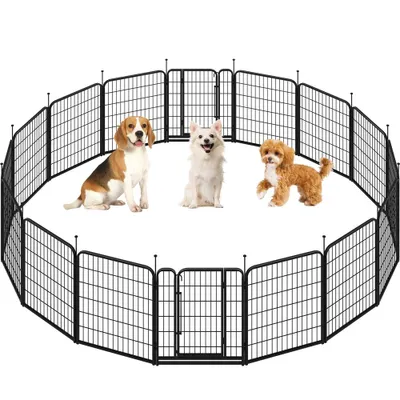 Three dogs are inside a black metal dog playpen.