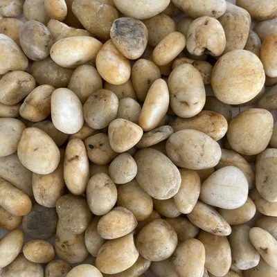 Produktbild von FLUSSKIESEL, Kieselsteine 20-60mm. 500g. BERNSTEIN