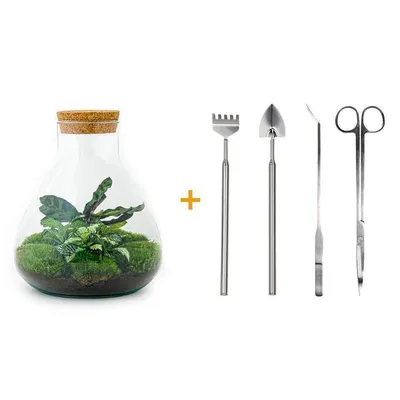 Immagine prodotto di Urbanjngl Set da giardino in bottiglia (rastrello, pala, pinzetta, forbici) - 26 cm