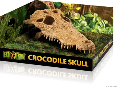 Produktbild von Exo Terra Versteck Crocodile Skull