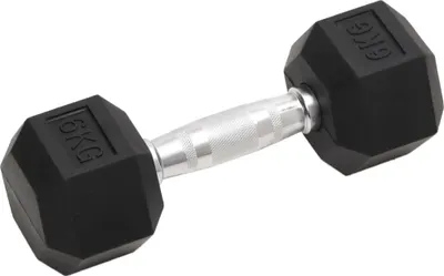Zdjęcie produktu dla vidaXL hantle 2 szt. 12 kg żeliwo