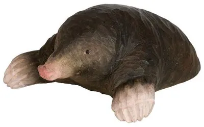 Produktbild von Wildlife Garden Dekofigur Maulwurf