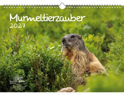 Produktbild von Murmeltierzauber DIN A3 Kalender für 2027 Murmeltier - Seelenzauber
