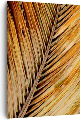 Produktbild von Bild auf Leinwand - Leinwandbild - Einteilig - Orange Blatt Tropisch - 70x100cm - Wand Bild - Wanddeko - Wandbilder - Leinwanddruck - Wanddekoration - Leinwand bilder - Wandbild - PA70x100-4876