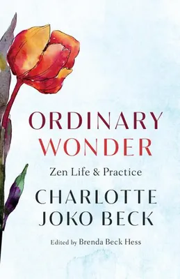 Image de Ordinary Wonder