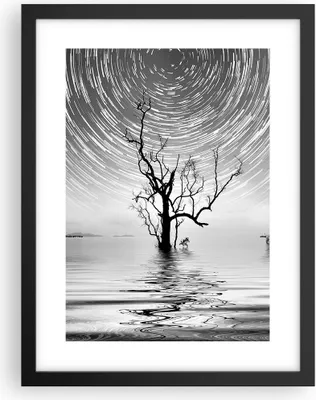 Produktbild von Gerahmtes Poster - Schwarzer Rahmen - Schwarzweiß Baum See - 30x40 cm - Wand Bild - Wanddeko - Wandbilder - Kunstposter - Wandposter - Bilderrahmen - Bilder - Kunstdruck - Wandbild - P2BPA30x40-4253