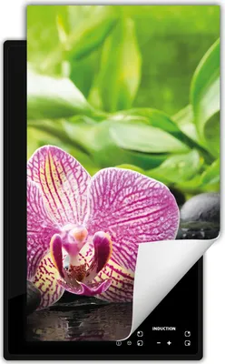 Produktbild von DarHaus Herdabdeckplatte 1 teilig 30x52 cm Anti Rutsch Matte Aufrollbar, grün - Orchidee