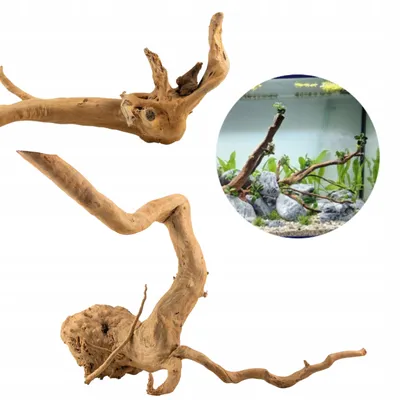 Zdjęcie produktu dla Dekoracja akwariowa – korzeń, Red Moor, lite drewno, 50–60 cm