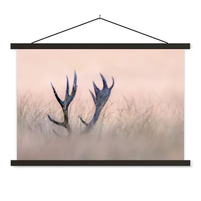 Produktbild von MuchoWow® Textilposter Geweih - Hirsch - Gras - Natur 60x40 cm mit schwarzem Rahmen - Hölzernes