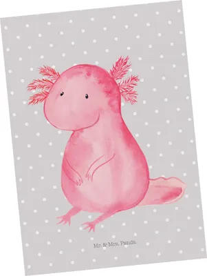 Produktbild von Mr. & Mrs. Panda Postkarte Axolotl Niedlich - Grau Pastell - Geschenk, Grußkarte, Ansichtskarten, Liebe, Lebensweisheit, Freundin, Ansichtskarte, Fröhlich, einzelkarte