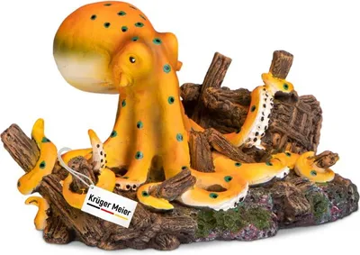Image de Kruger Meier – Décoration pour aquarium 17 x 10,5 x 10 cm