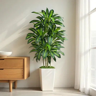 Produktbild von Künstlicher Dracaena-Baum, dichtes Laub, 152 cm, inklusive weißem hohen Pflanzkübel, für Wohn- und Büroräume
