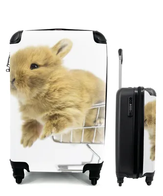 Produktbild von MuchoWow® Koffer Handgepäck Trolley Rollkoffer Kleine Reisekoffer mit 4 Rollen - Kaninchen - Baby - Weiß - Cabin Size < 55x40x23 cm & 55x40x20 cm - Fotokoffer - Kabinenkoffer - Boardgepäck - Reise-Box - Reisekoffer - Reisegepäck - Koffer mit Bild - Trolley für Kinder