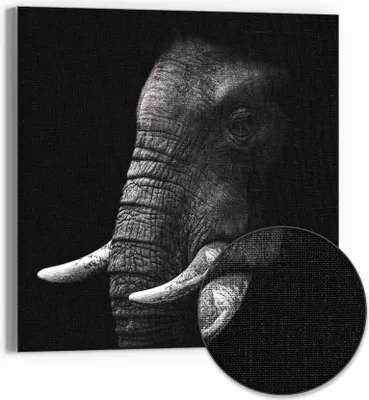 Produktbild von DEQORI Hybrid Leinwand Bild 30x30 cm 'Weisheit der Wildnis' Wandbild Glas flach modern