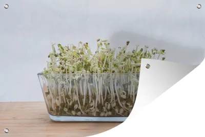 Produktbild von MuchoWow®