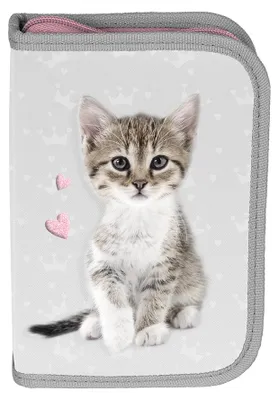 Obrázok produktu pre Piórnik Cat 1-komorowy z wyposażeniem