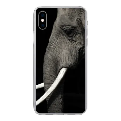 Produktbild von MuchoWow® Handyhülle Schutzhülle Hülle für iPhone Xs Elefant - Tier - Stoßzahn Silikon Softcase Handy Hülle - Handytasche