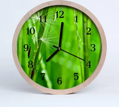 Produktbild von Holzuhr 30fi cm wanduhr - Gras Natur