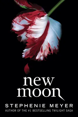 Produktbild von New Moon