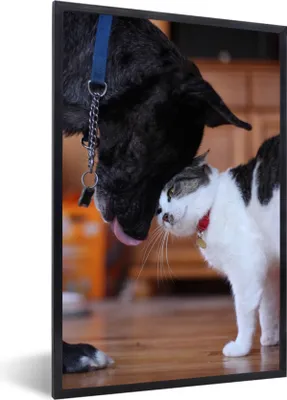 Produktbild von MuchoWow® MuchoWow® Gerahmtes Poster Katze - Hund - Zusammen 60x90 cm - Poster mit zchwarzem Bilderrahmen - Kunst
