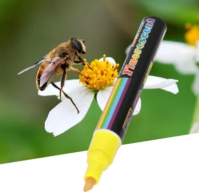 Produktbild von Hochwertige Kunststoff-Bienenkönigin Marker Pen Mark Paint Tool Bienenzucht Werkzeuge 8 Farben (gelb)