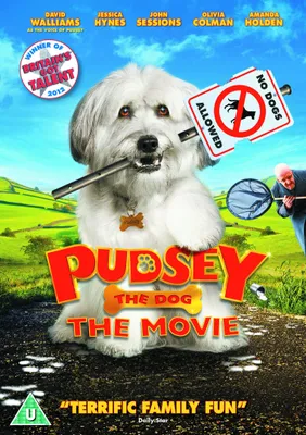 Produktbild von Pudsey The Dog: The Movie [DVD]