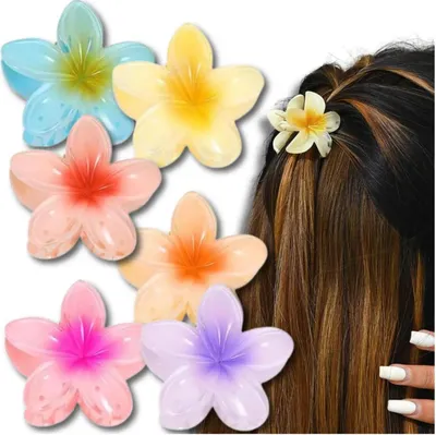 Image de J&W Hair Clip Set Çiltore Multicolore One size