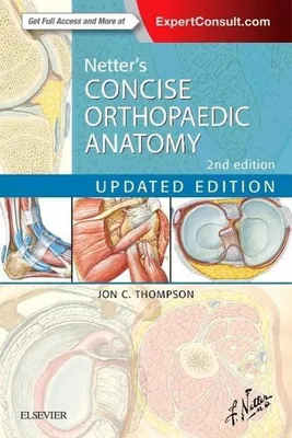 Produktbild von Netter's Concise Orthopaedic Anatomy, Updated Edition