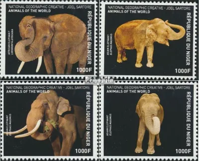 Produktbild von Briefmarken Niger 2016 Mi 4717-4720 (kompl. Ausg.) postfrisch Elefanten