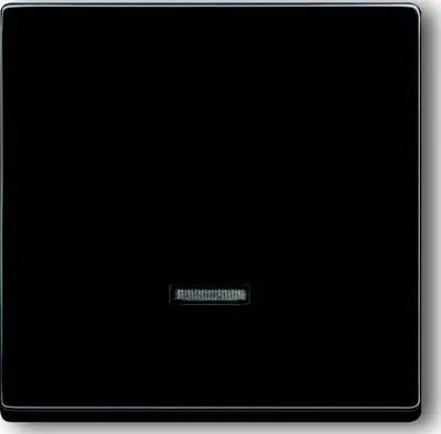 Produktbild von Busch-Jaeger Bedienelement 6543-81-101 2CKA006599A2881