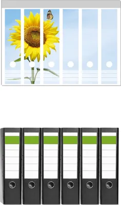 Produktbild von Wallario 6 Stück breite Ordner inkl. Klebeetiketten mit Motive Sonnenblume mit Schmetterling -  Set mit Rückenschildern / Ordnerrücken Stickern