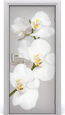 Produktbild von Tulup Türaufkleber 95x205 cm Dekorative Aufkleber Selbstklebend Wasserdichte Tapete Abnehmbar Schlafzimmer Wohnzimmer Wohnkultur - WandtattooS weiße Orchideen