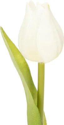 Produktbild von Künstliche Tulpen Dekoration täuschend echt und langlebig für zuhause, 6 Stück