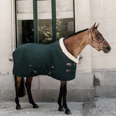 Produktbild von Kentucky Horsewear Turnierdecke 160g Show Rug Dark Green 145