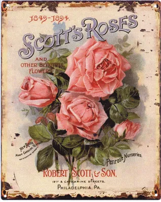 Zdjęcie produktu dla Moritz dekoracyjny blaszany znak Scotts Roses retro metalowy pomysł na prezent vintage design do dekoracji
