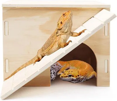 Produktbild von Holz-Reptilienhaus mit Kletterbahn und Wärmeplatz für Drachen und Echsen