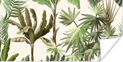 Produktbild von MuchoWow® Poster Dschungel - Palme - Bananenstaude - Kinder - Natur - Pflanzen 80x40 cm - Wanddeko