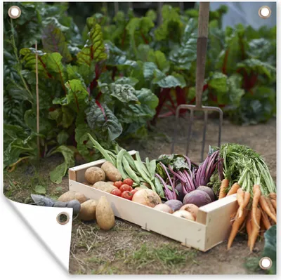 Obrázek produktu pro MuchoWow® Zahradní plakáty - Zelenina na zahradě - 100x100 cm - Zahradní dekorace