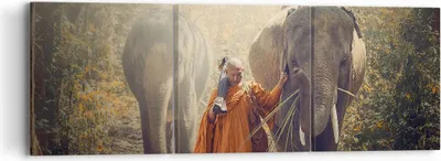 Produktbild von Bild auf Leinwand - Leinwandbild - Elefant Mönch Dschungel - 90x30cm - Wand Bild - Wanddeko - Leinwanddruck - Bilder - Kunstdruck - Wanddekoration - Leinwand bilder - Wandkunst - CA90x30-3453