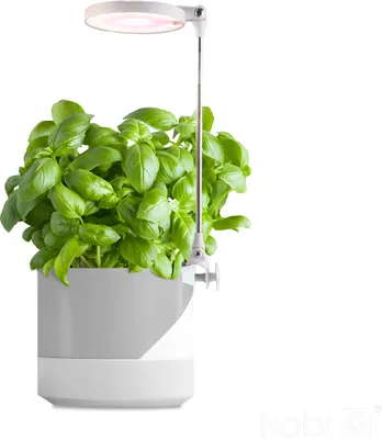 Zdjęcie produktu dla Lampa LED DO WZROSTU ROŚLIN 10W regulacja TIMER biała DO UPRAWY ściemniana